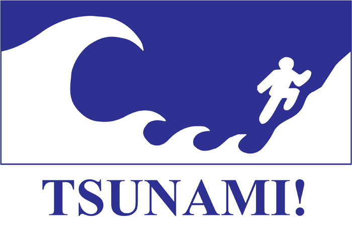 Tsunami of the lost purse