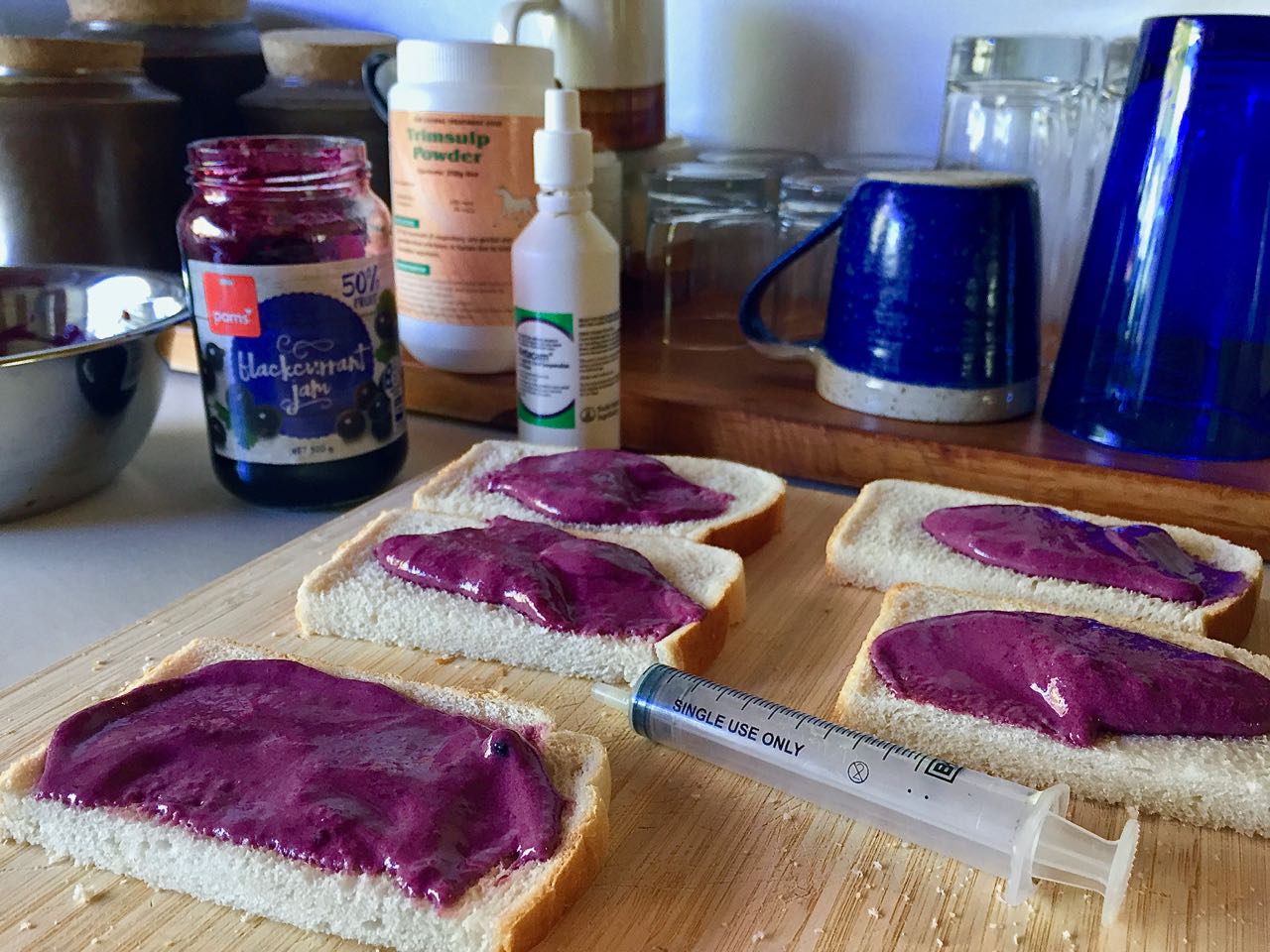 Jam sandwiches for a sick pig